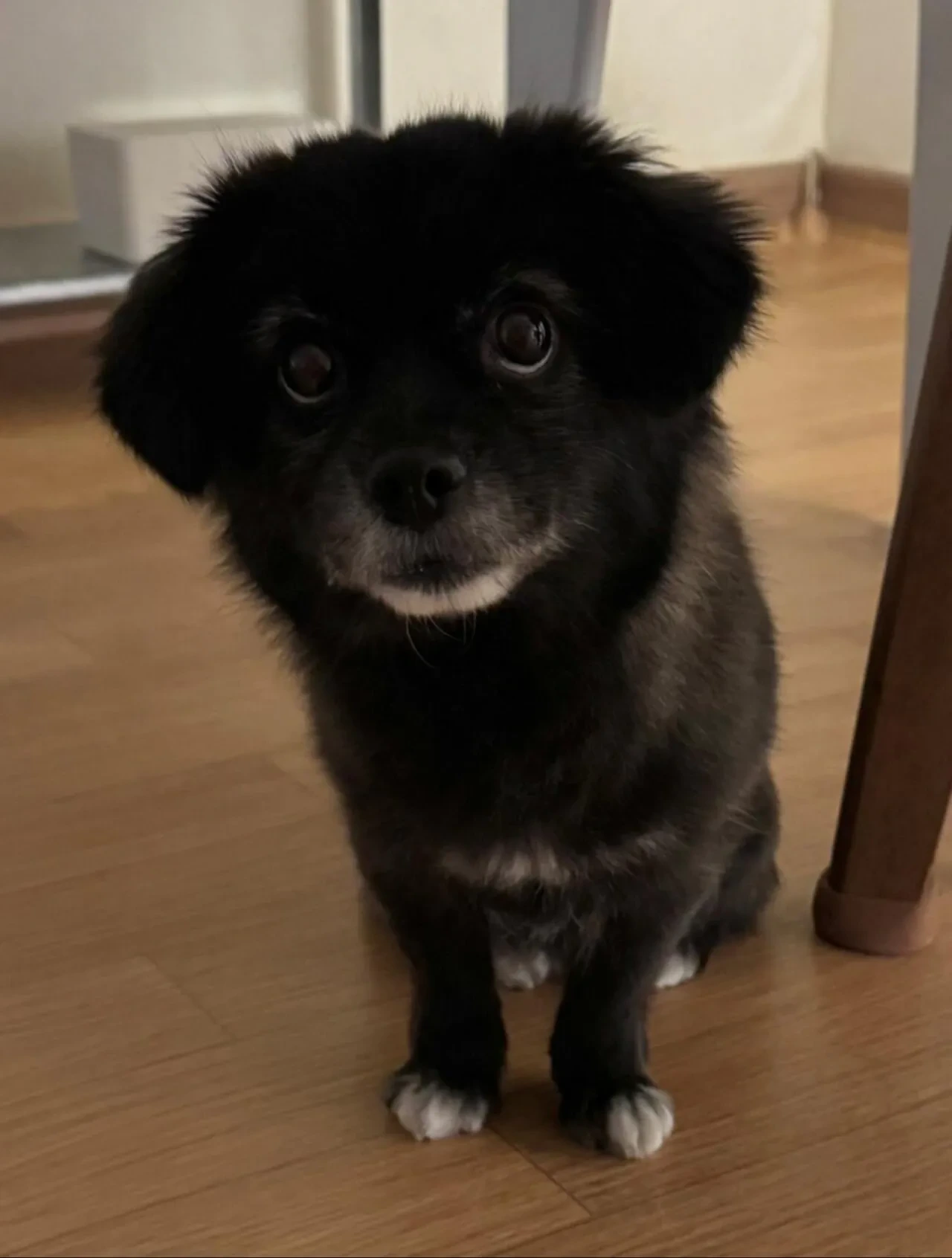 오늘도-다이소에-3천원-기부했다-3-이미지