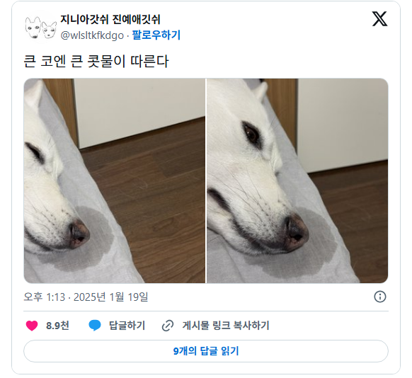 큰-코에는-큰-콧물이-따른다-0-이미지