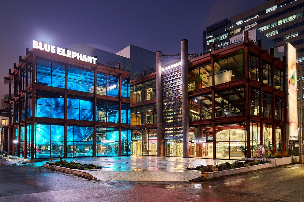 디자인-표절-소송-중이라는-“제니-안경”-브랜드-0-이미지