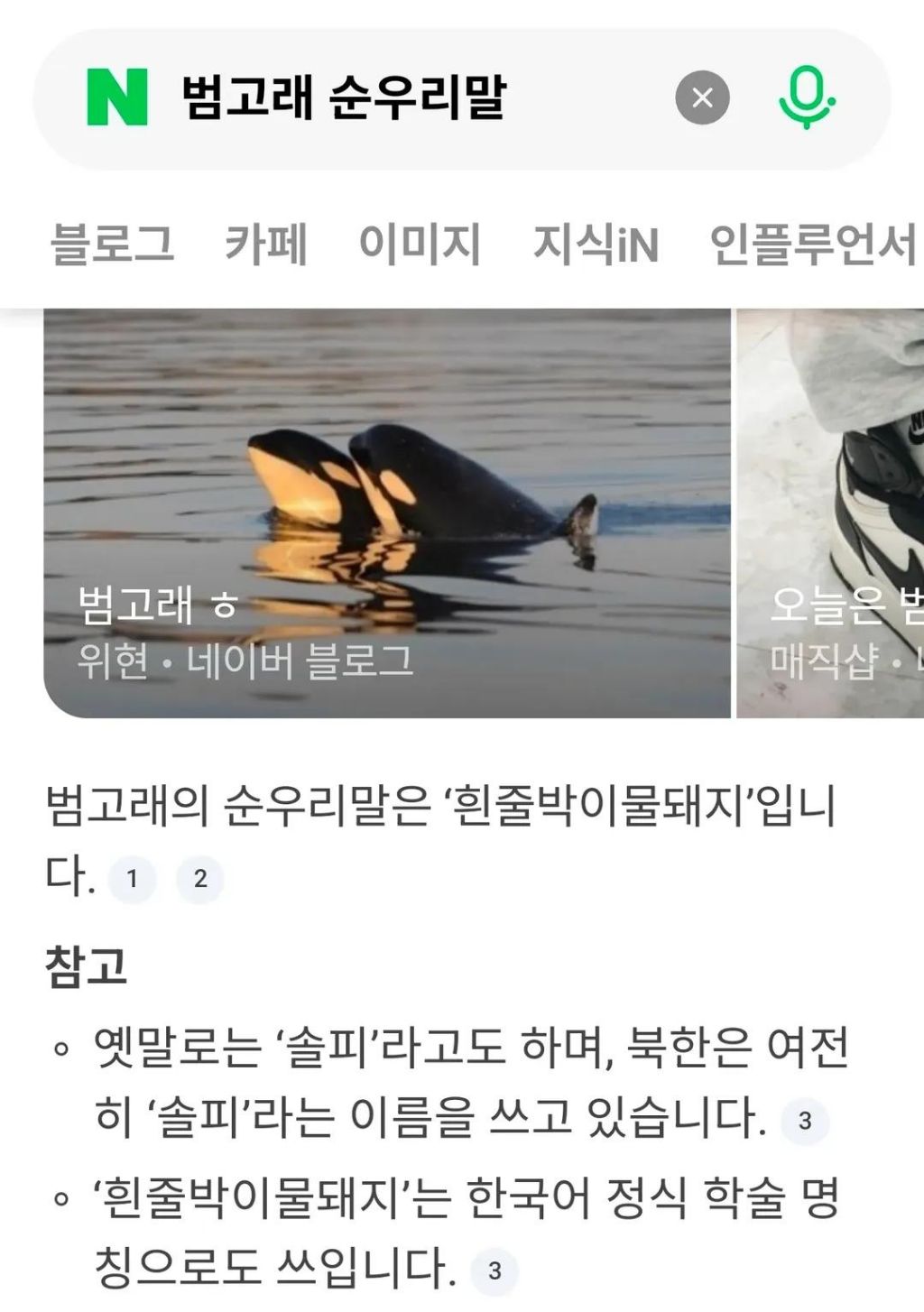 범고래-순우리말-0-이미지