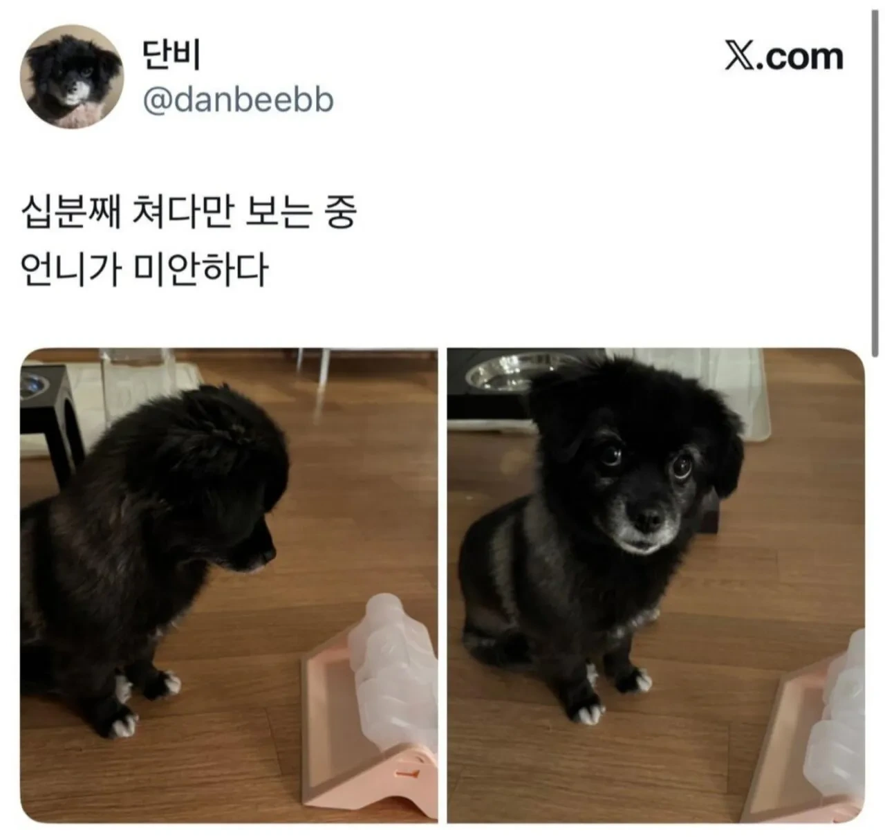 오늘도-다이소에-3천원-기부했다-1-이미지