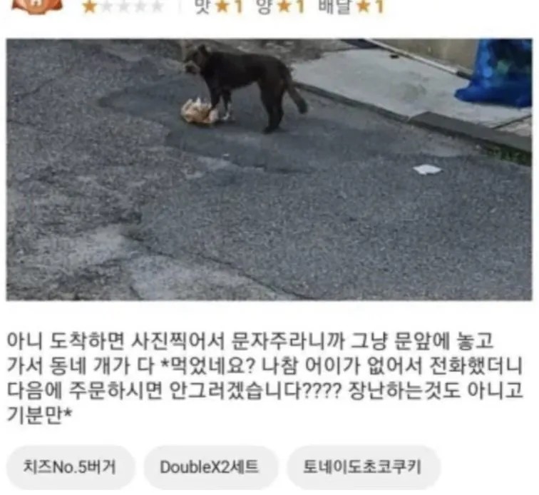 동네-개한테-배민-음식-뺏긴-사람-0-이미지