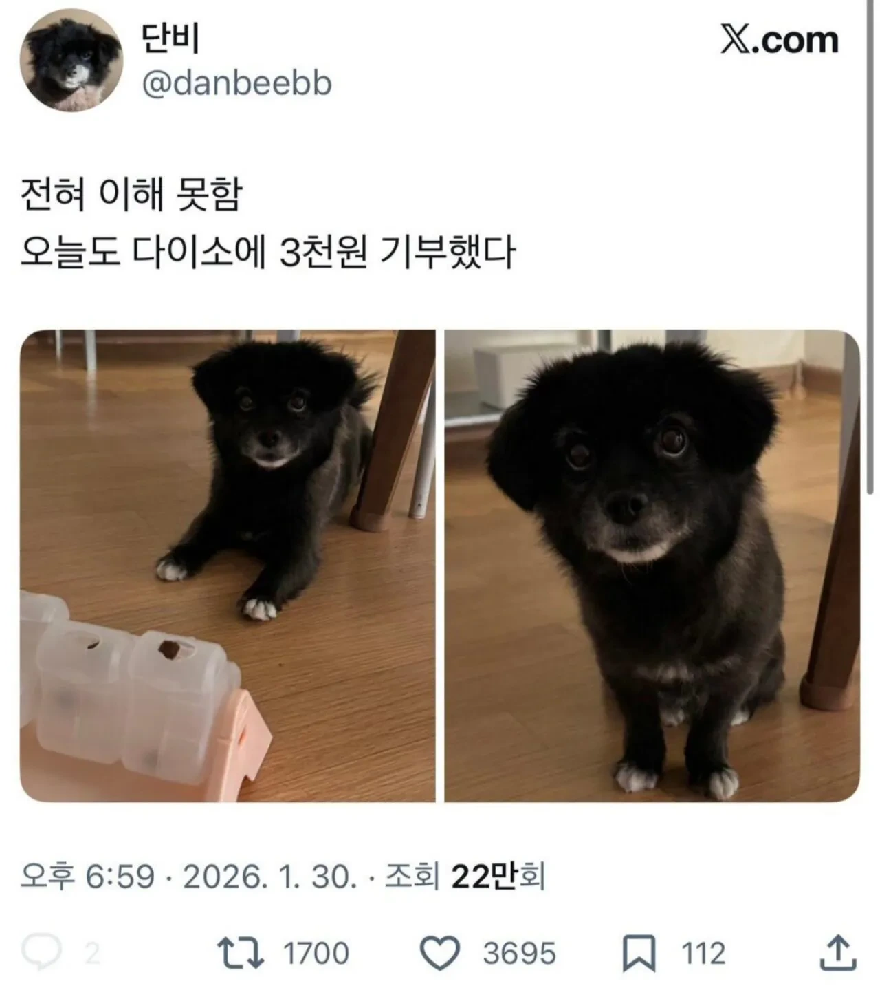 오늘도-다이소에-3천원-기부했다-0-이미지
