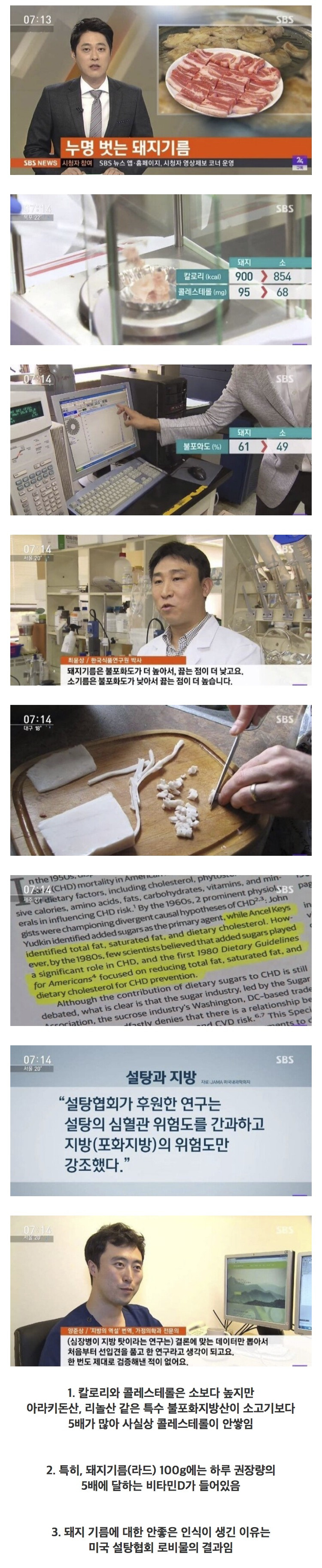 돼지고기-비계가-건강에-좋은-이유-ㄷㄷㄷㄷㄷㄷ-1-이미지