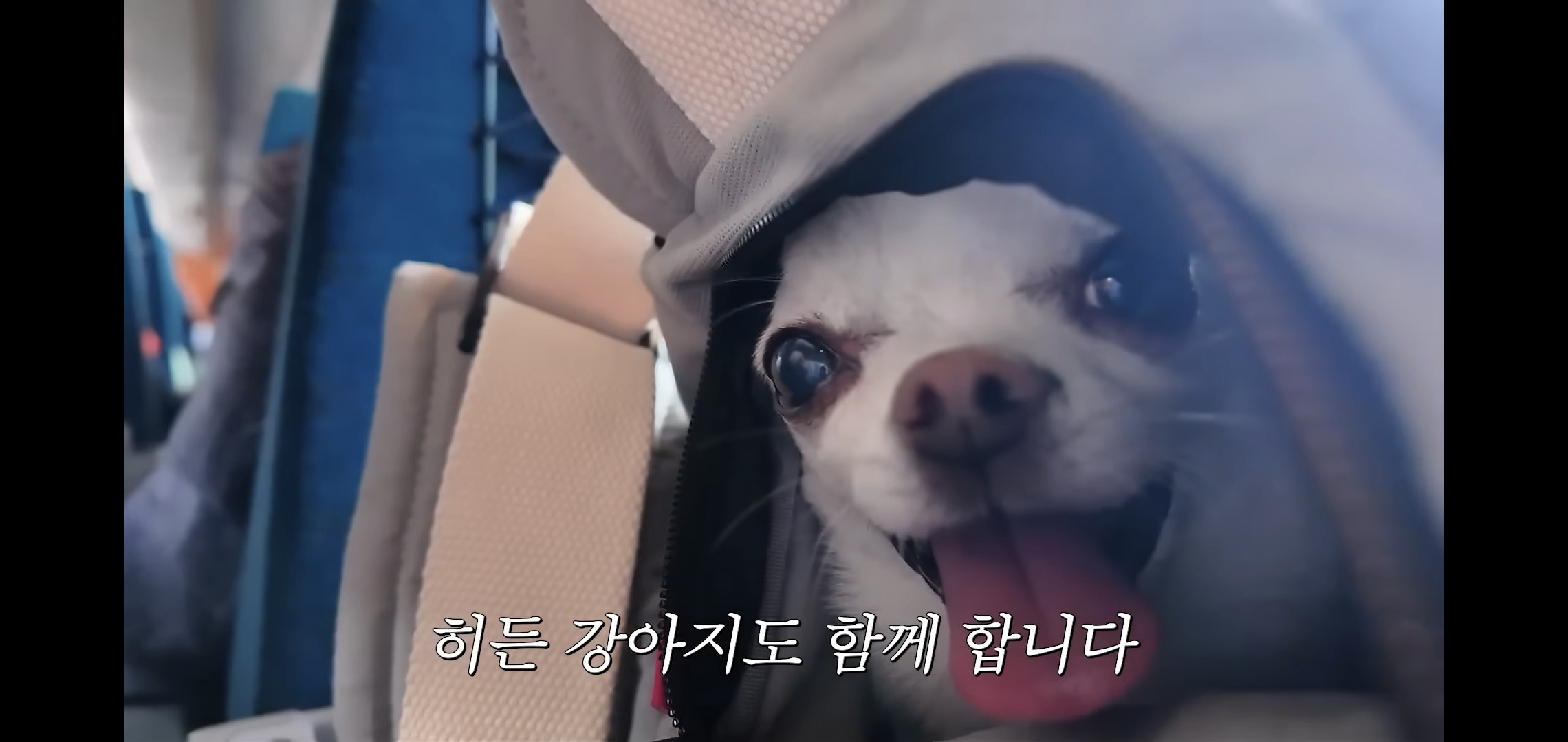 하말넘많-영상-보고-후회한다는-댓글.jpg-9-이미지