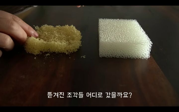 수세미에서-뿜어져나오는-플라스틱-(결국-우리-입으로...)-18-이미지