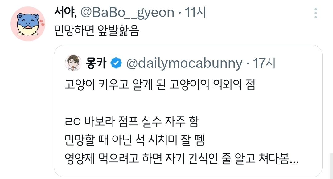 고양이-키우고-알게-된-고양이의-의외의-점.twt-5-이미지