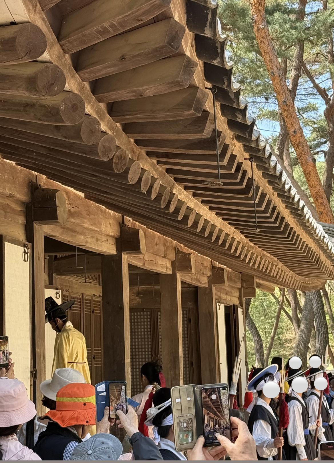 준비-단단히-한-듯한-오늘자-영월-단종제.jpg-13-이미지