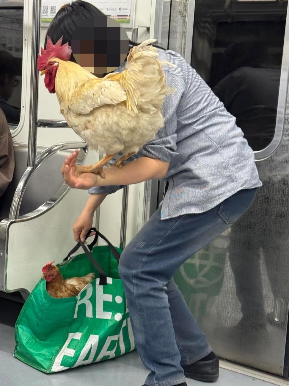 AI-아님..-서울-지하철-빡세다-0-이미지