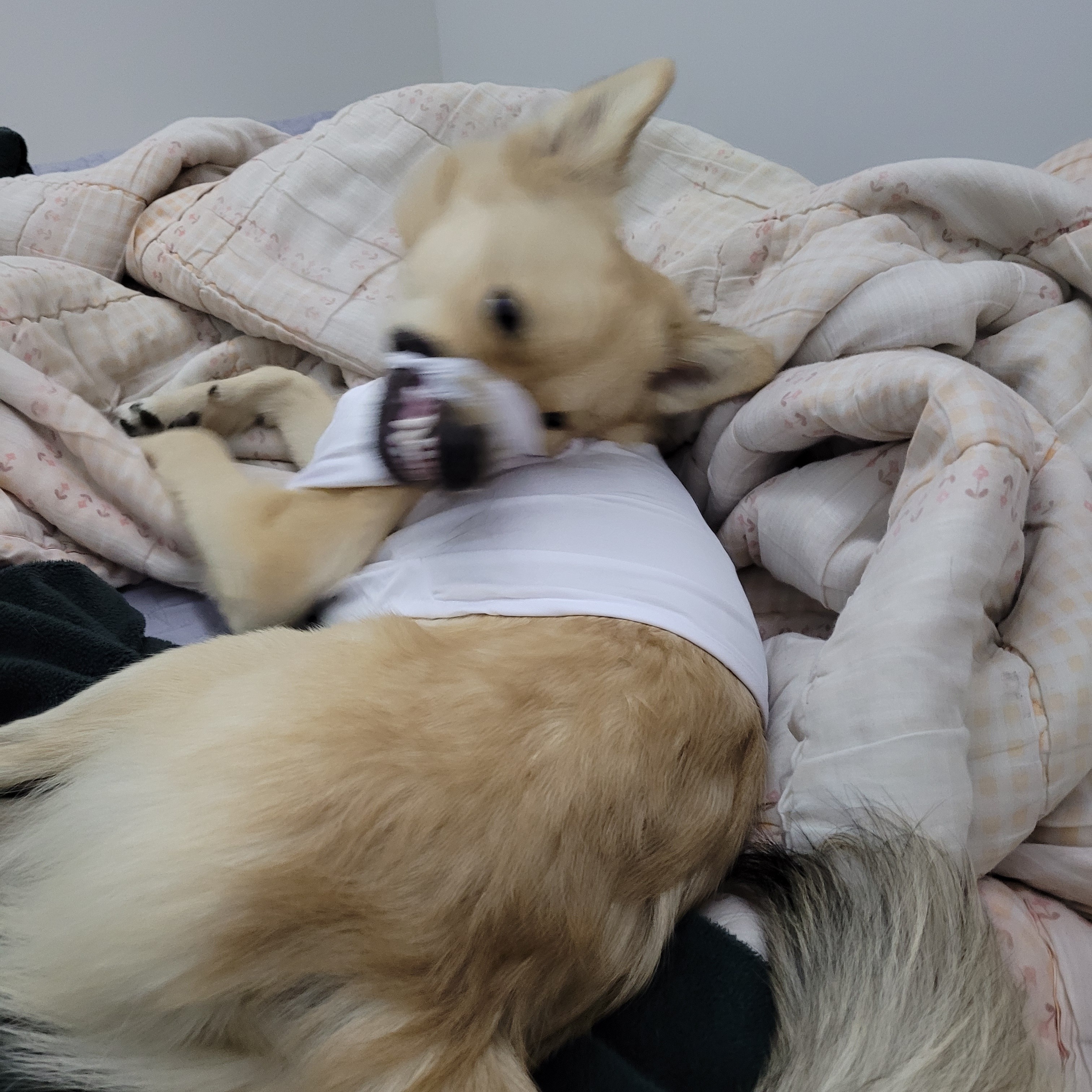 아ㅠ-개리야스-샀는데-망했어-5-이미지