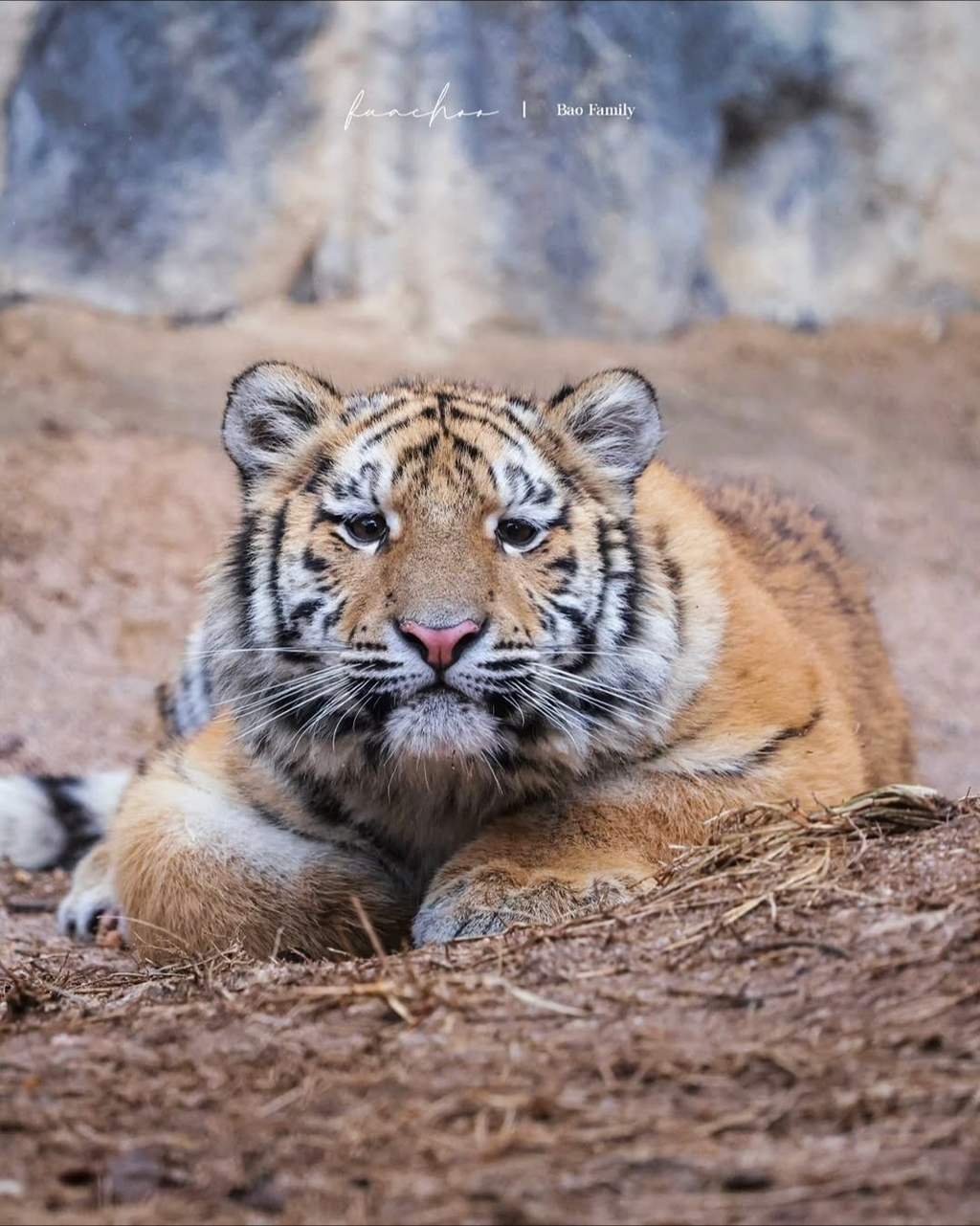 대체-언제쯤-무서워질거냐고-말나오는-설호...jpgif-17-이미지