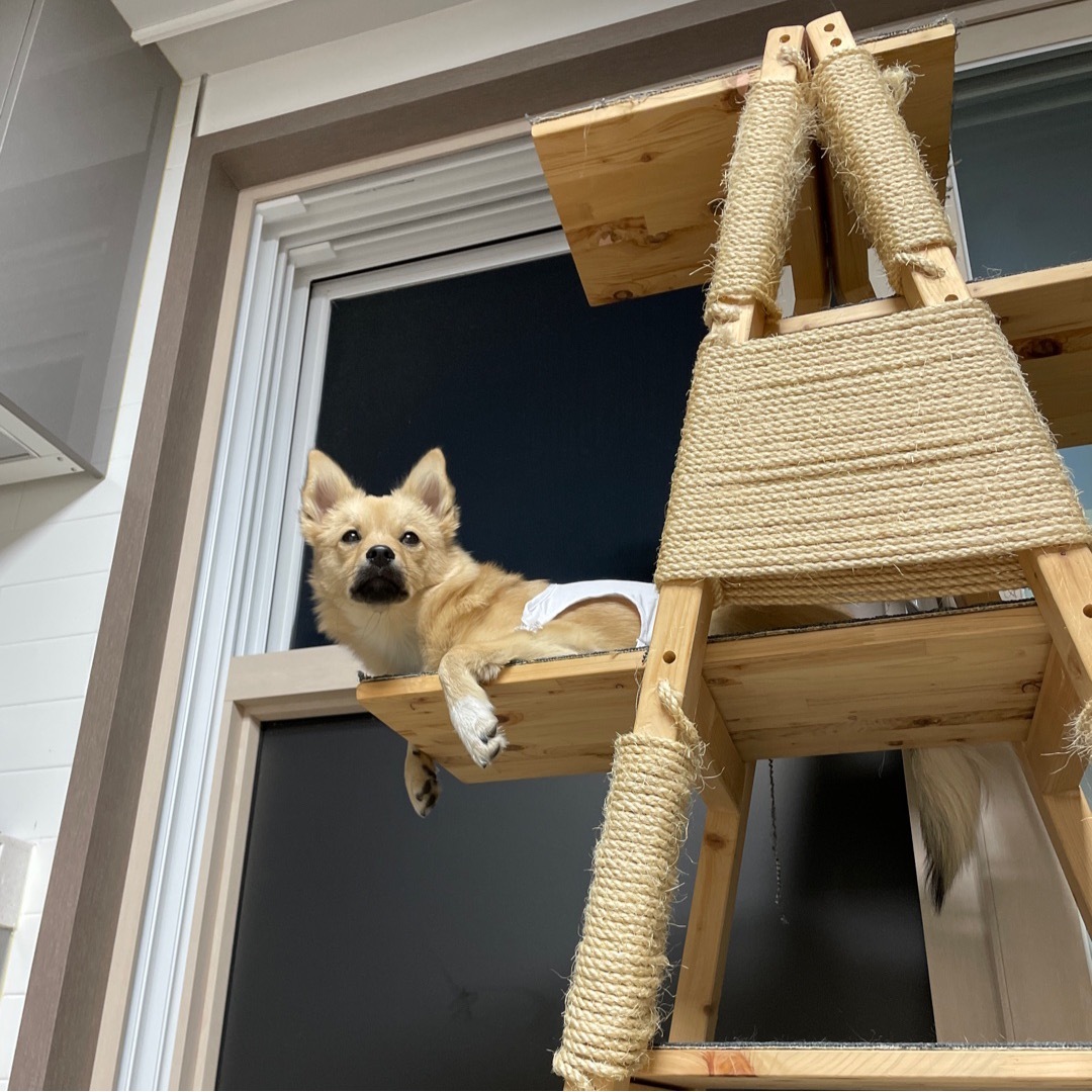 아ㅠ-개리야스-샀는데-망했어-8-이미지