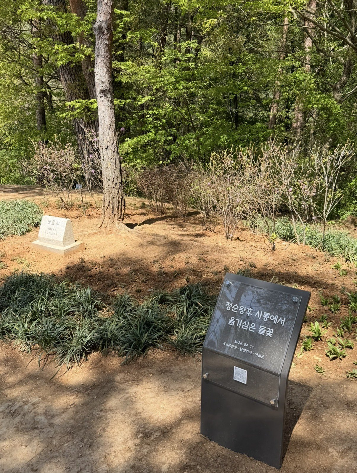 준비-단단히-한-듯한-오늘자-영월-단종제.jpg-18-이미지