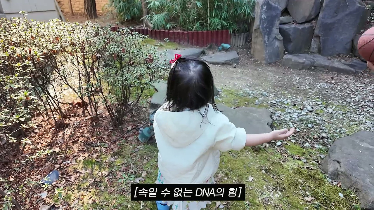 ???-:-브이로그를-으뜨그-쯔그라는-그으-즈금.......-39-이미지