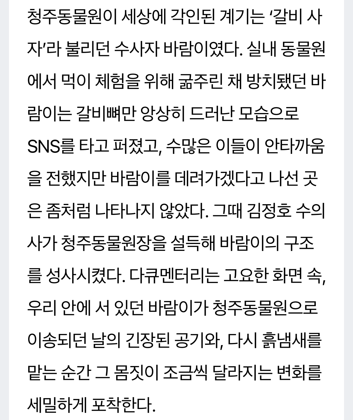 호랑이-내성-발톱-치료를-위해-목숨까지-거는-수의사-13-이미지