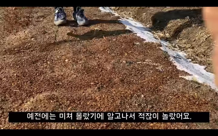 수세미에서-뿜어져나오는-플라스틱-(결국-우리-입으로...)-16-이미지