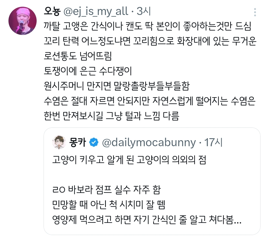 고양이-키우고-알게-된-고양이의-의외의-점.twt-3-이미지