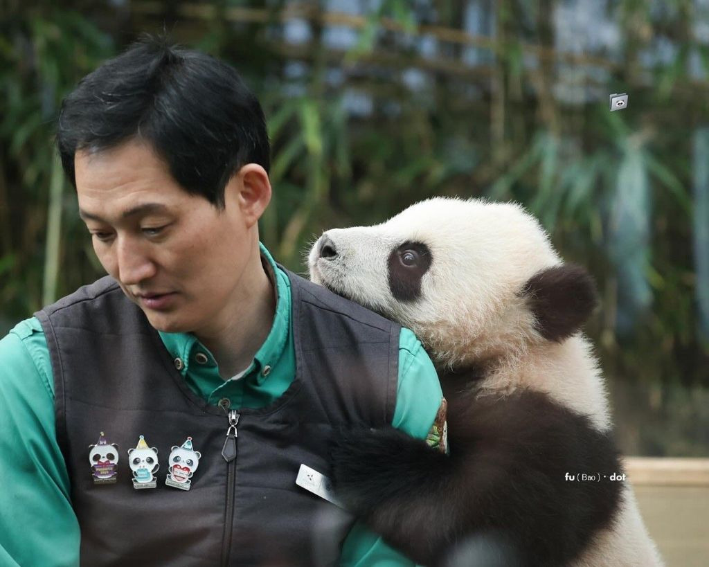 소원을-들어주는-판다-후이바오-23-이미지