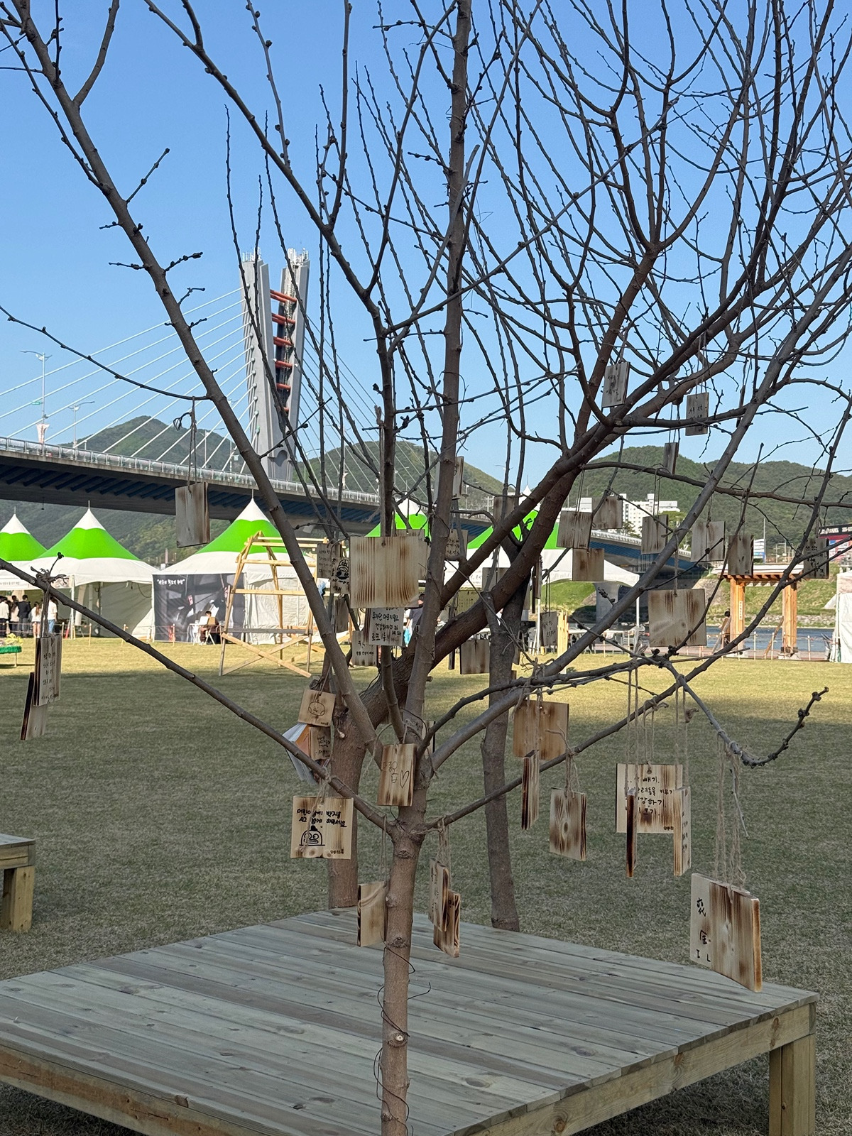 준비-단단히-한-듯한-오늘자-영월-단종제.jpg-6-이미지