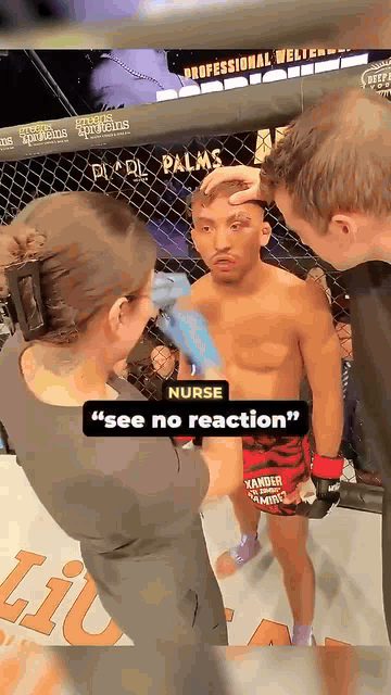 뇌에-데미지를-입은-파이터-2-이미지