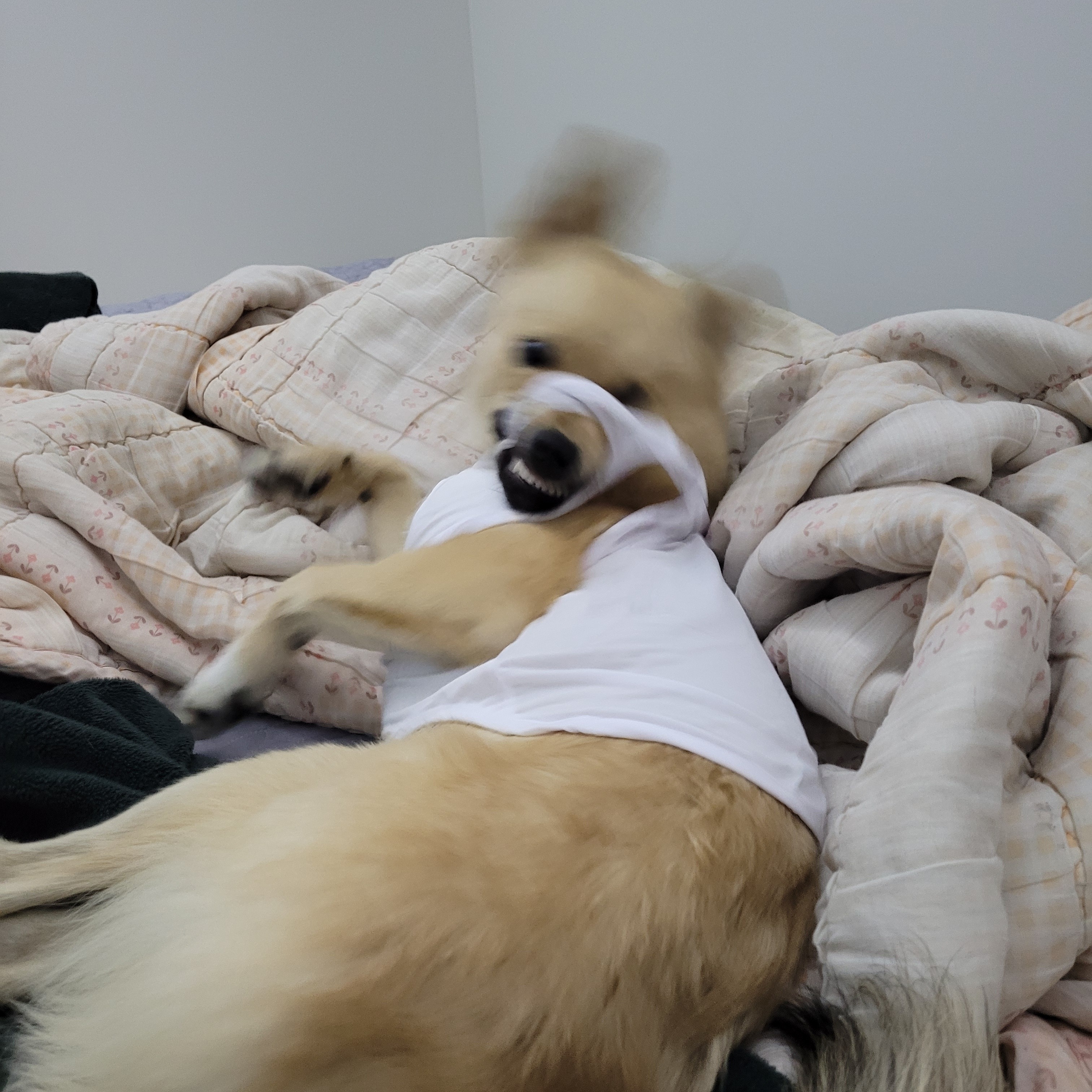 아ㅠ-개리야스-샀는데-망했어-4-이미지