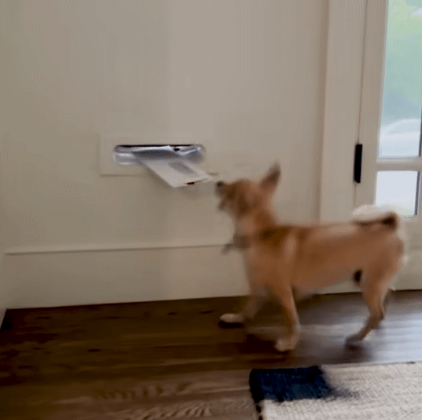 나는-오늘도-쳐들어오는-적군을-처리한다-3-이미지