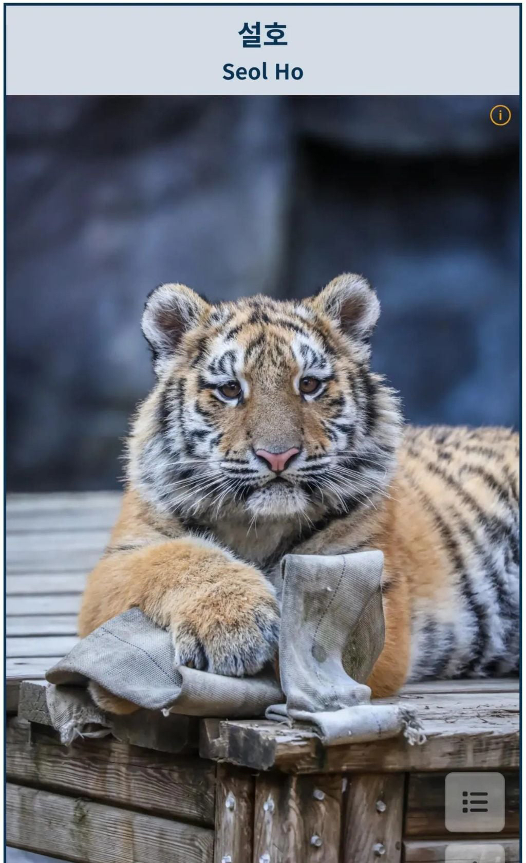 대체-언제쯤-무서워질거냐고-말나오는-설호...jpgif-0-이미지