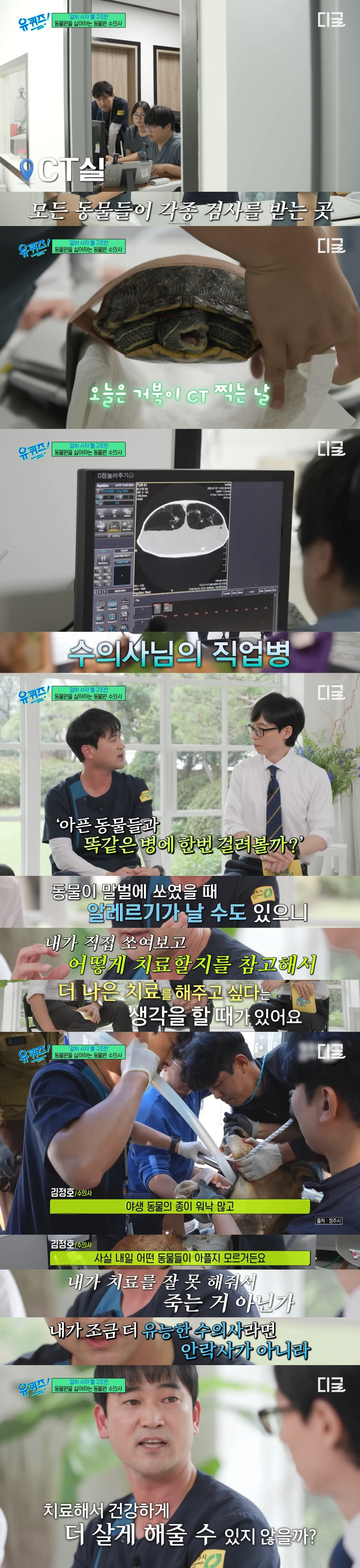 호랑이-내성-발톱-치료를-위해-목숨까지-거는-수의사-18-이미지