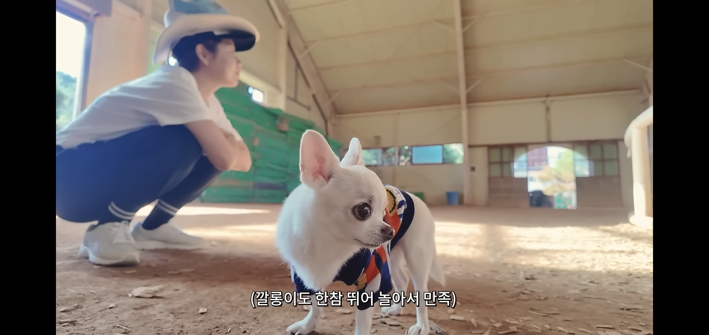 하말넘많-영상-보고-후회한다는-댓글.jpg-13-이미지