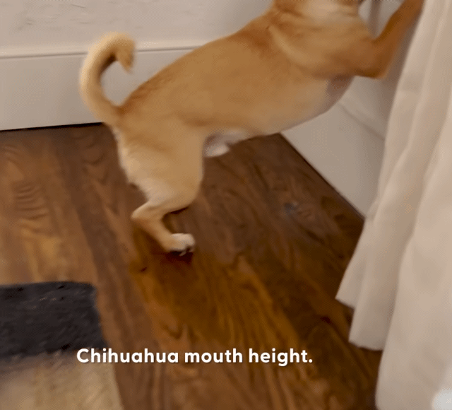 나는-오늘도-쳐들어오는-적군을-처리한다-6-이미지