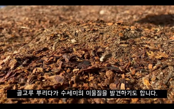 수세미에서-뿜어져나오는-플라스틱-(결국-우리-입으로...)-15-이미지