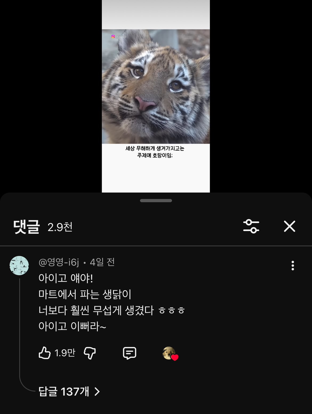 대체-언제쯤-무서워질거냐고-말나오는-설호...jpgif-7-이미지