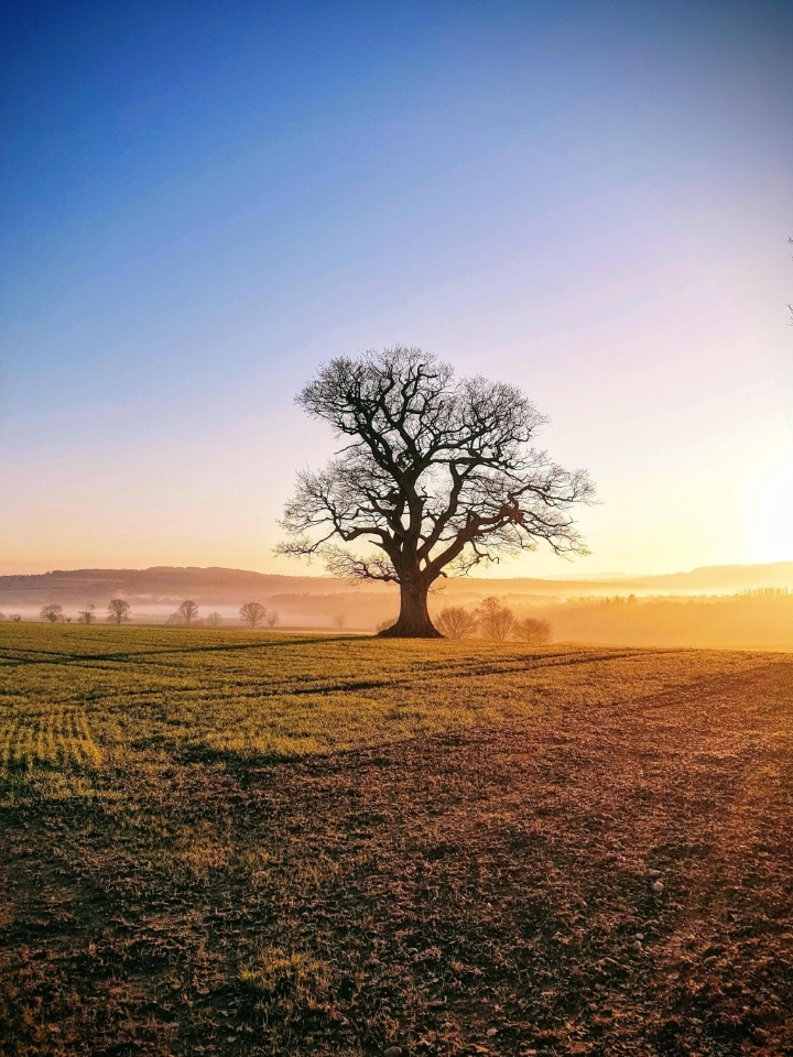 7년동안-50편-이상-단역으로-출연하다가-작년에-주연된-배우.jpg-9-이미지