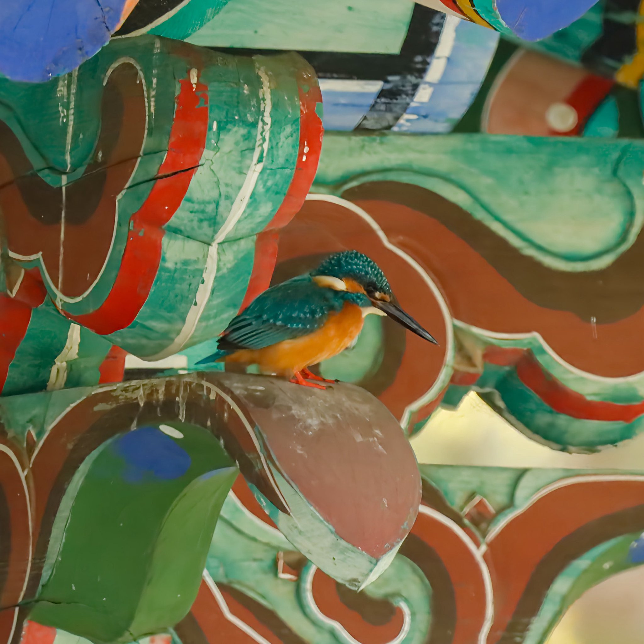 인자기급-위치선정-K물총새.jpg-2-이미지