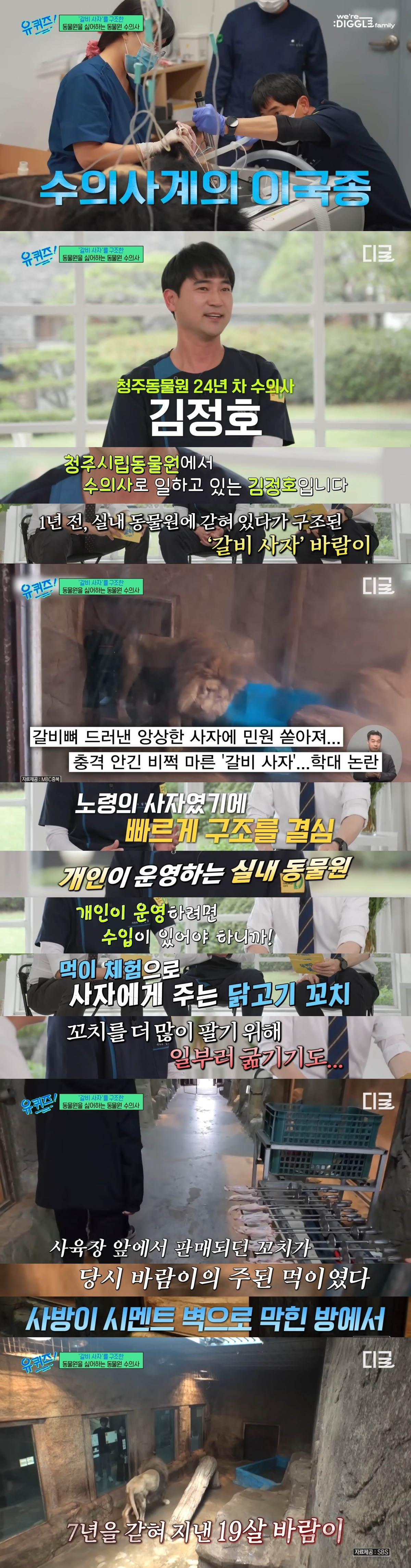 호랑이-내성-발톱-치료를-위해-목숨까지-거는-수의사-15-이미지