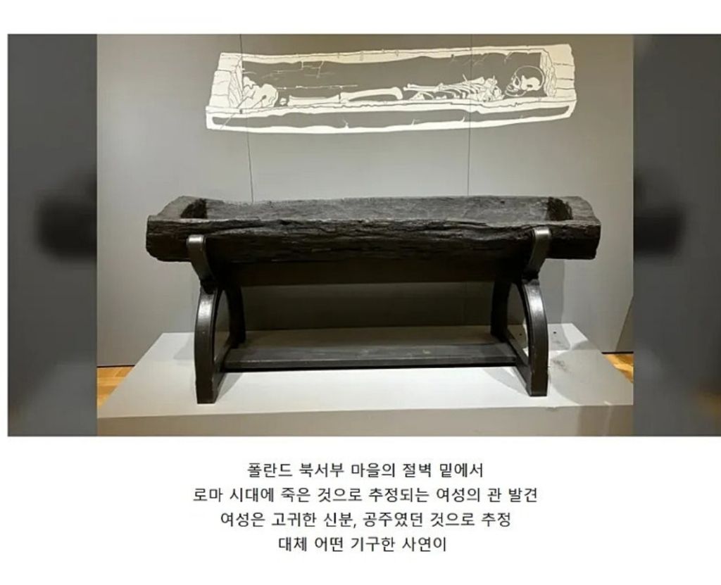 2026-새롭게-발견된-고고학-유적들-6-이미지