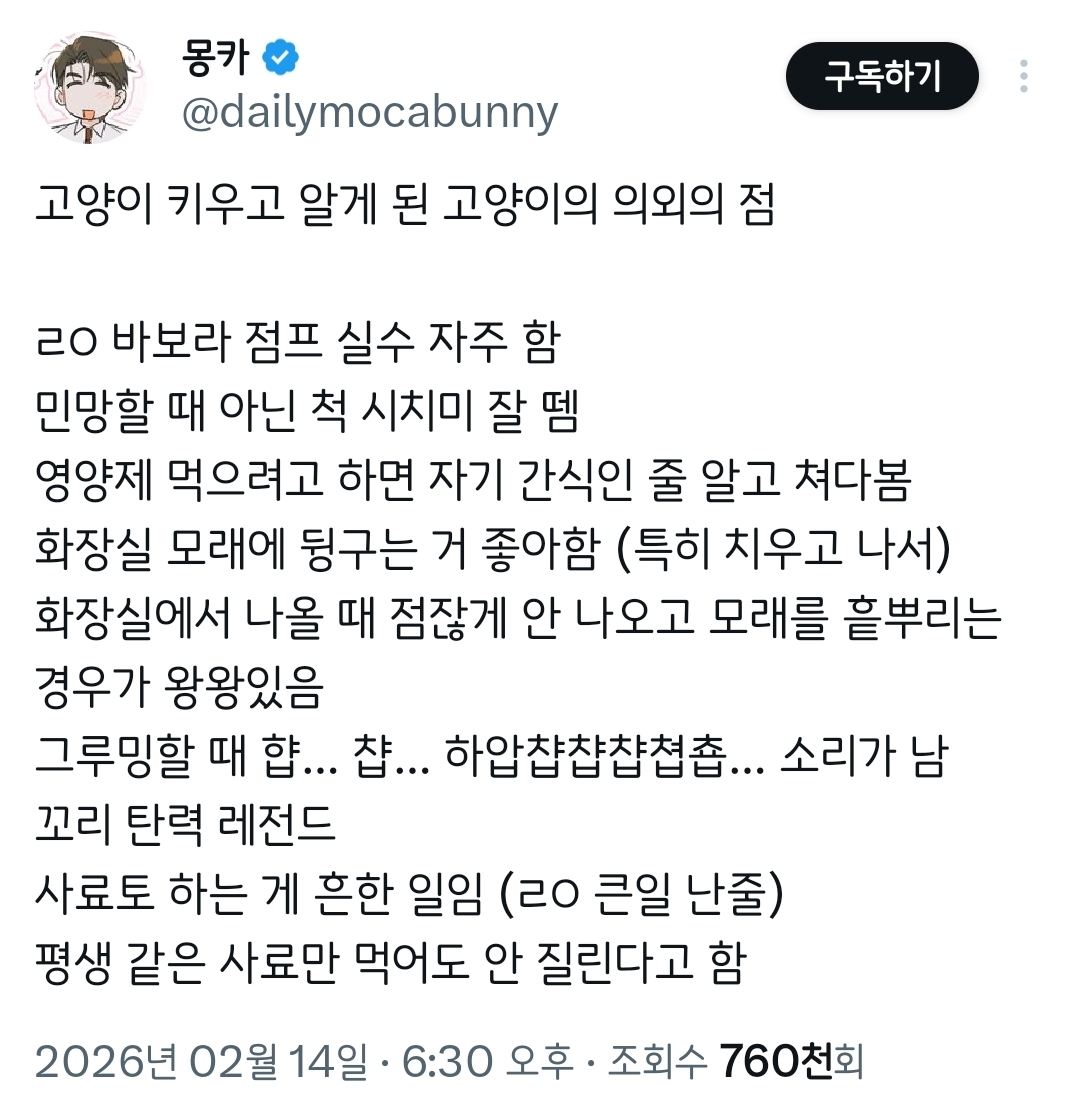 고양이-키우고-알게-된-고양이의-의외의-점.twt-0-이미지