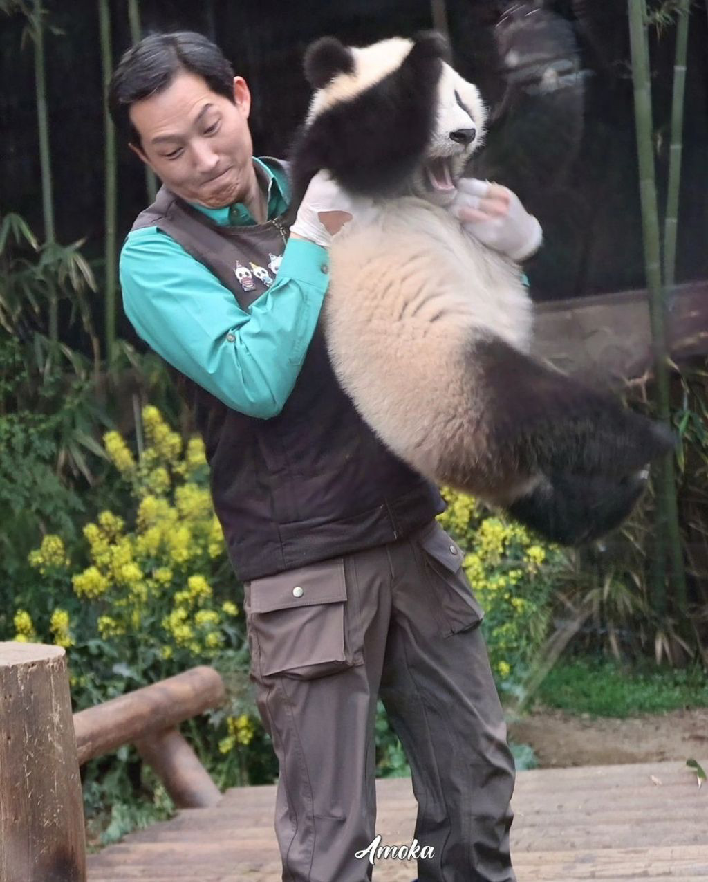 소원을-들어주는-판다-후이바오-13-이미지