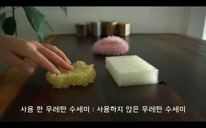 수세미에서-뿜어져나오는-플라스틱-(결국-우리-입으로...)-17-이미지
