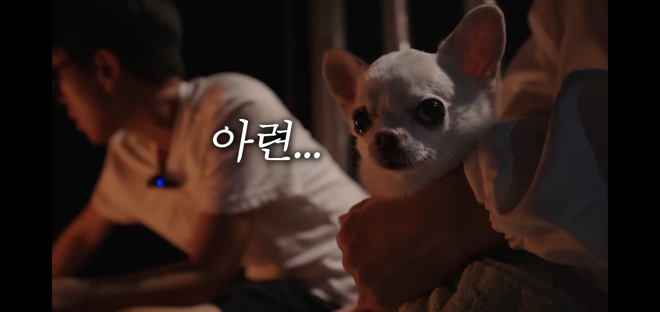 하말넘많-영상-보고-후회한다는-댓글.jpg-10-이미지