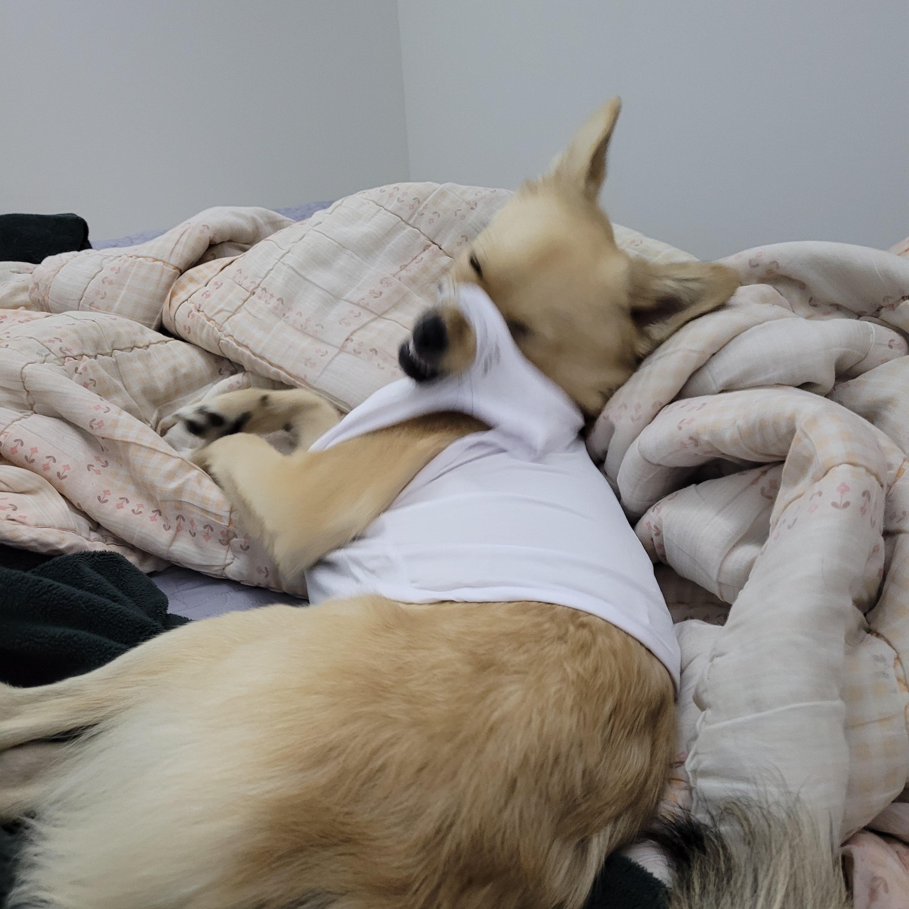 아ㅠ-개리야스-샀는데-망했어-3-이미지