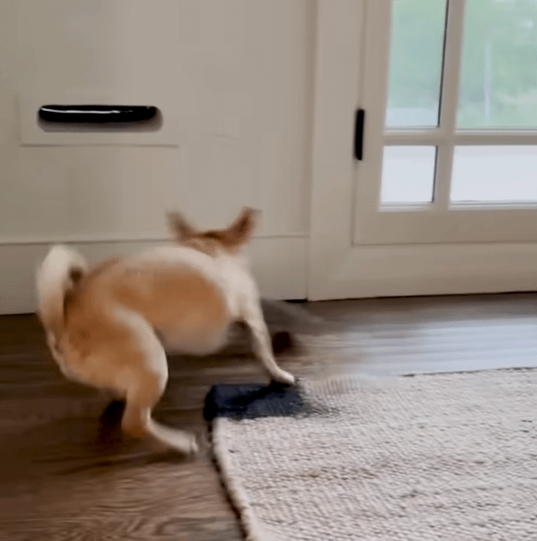 나는-오늘도-쳐들어오는-적군을-처리한다-2-이미지