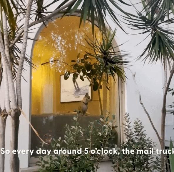 나는-오늘도-쳐들어오는-적군을-처리한다-8-이미지