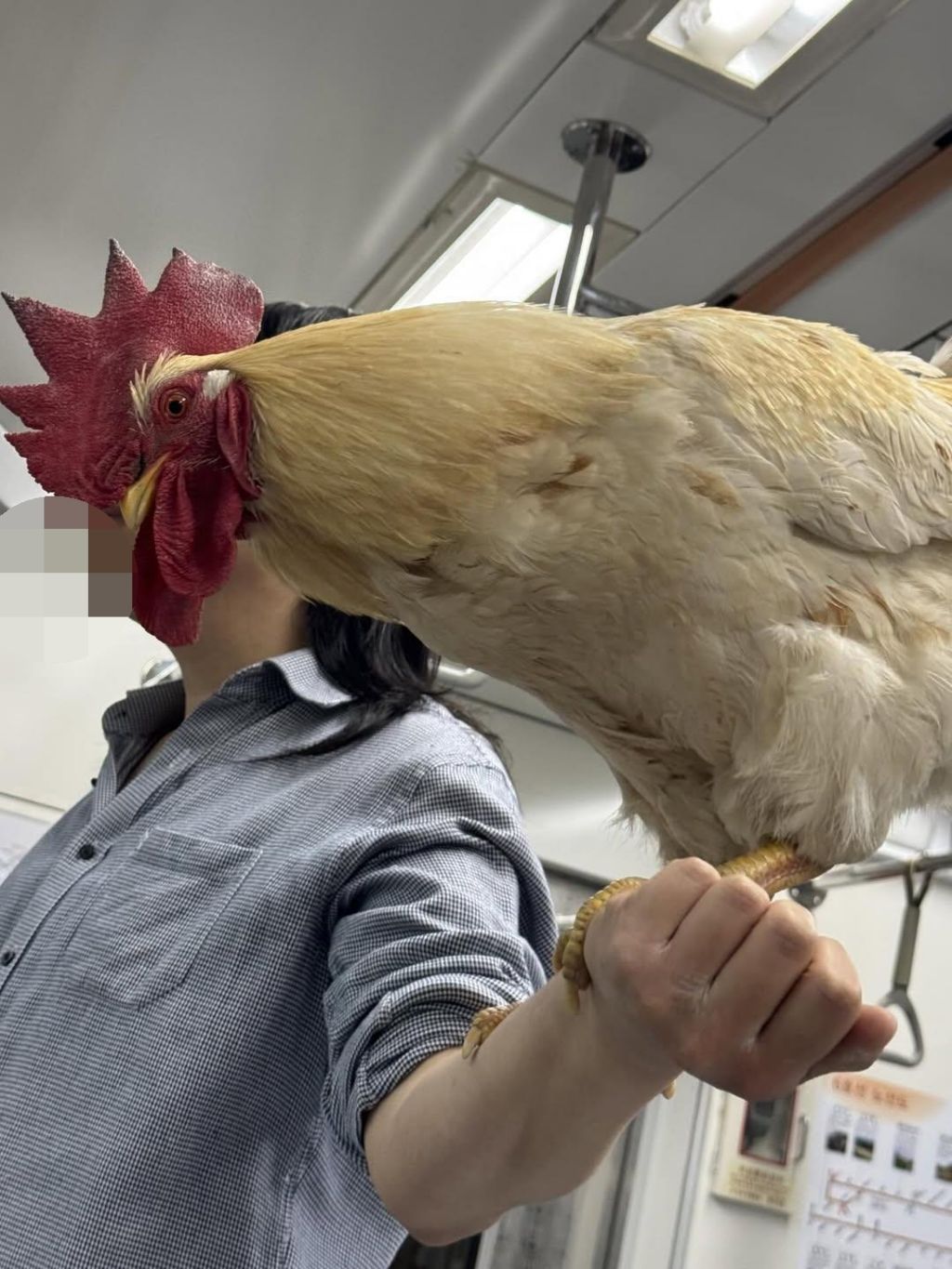 AI-아님..-서울-지하철-빡세다-1-이미지