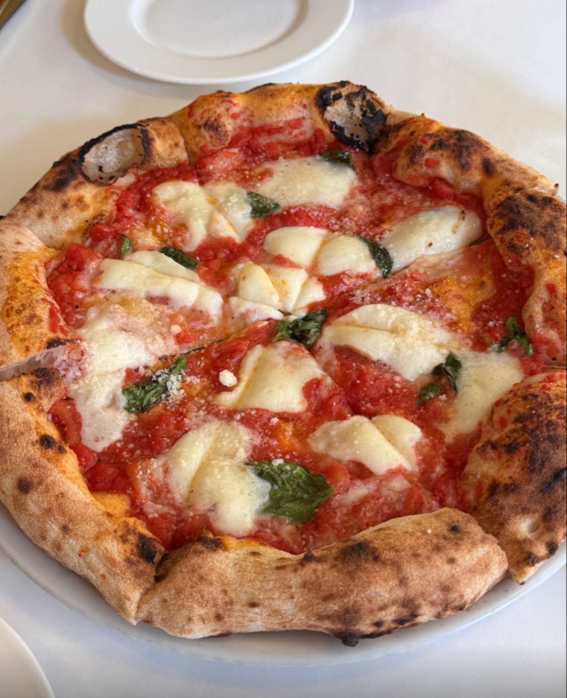 성남/분당-찐-맛집-모음-14-이미지