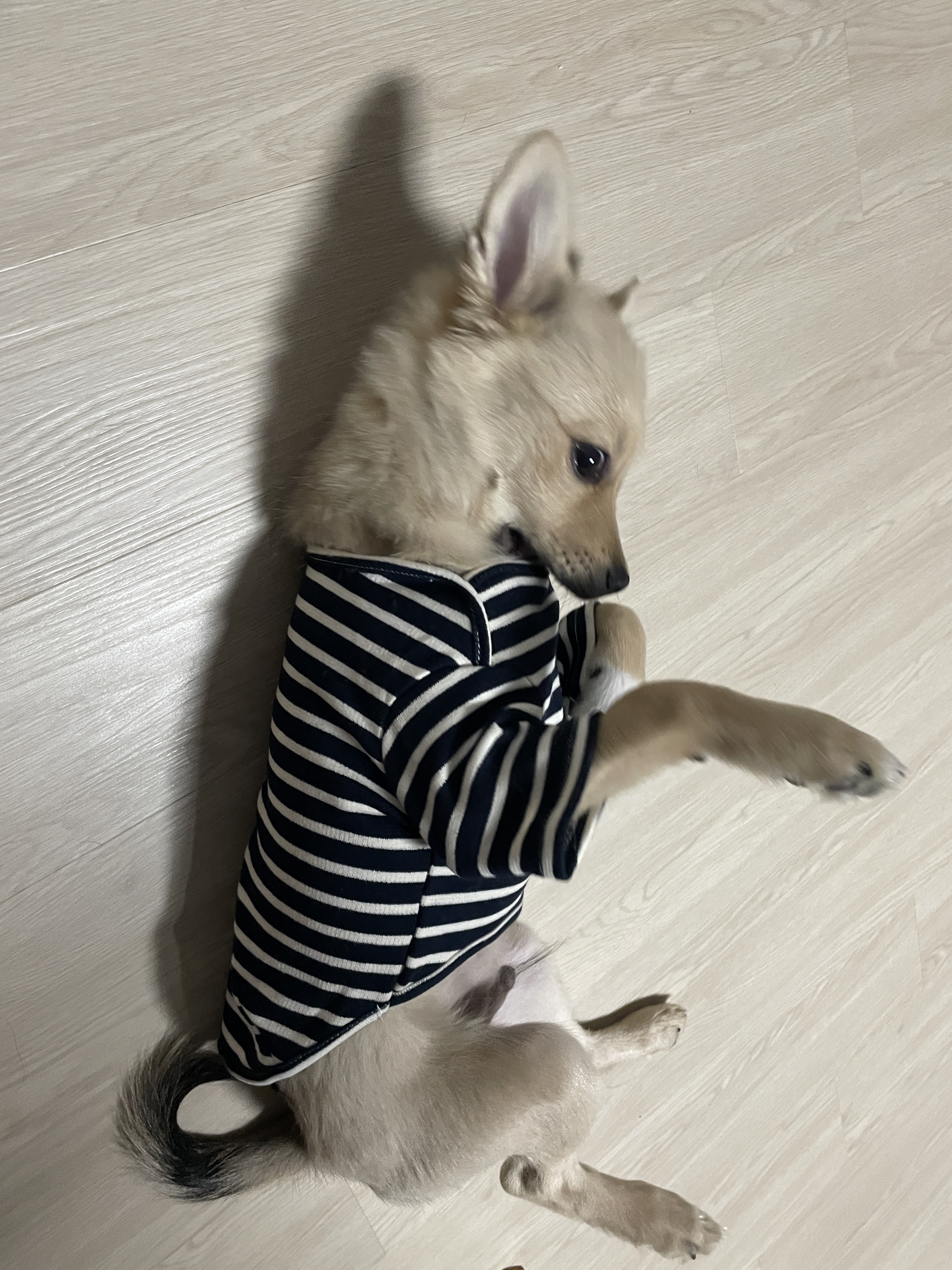 아ㅠ-개리야스-샀는데-망했어-1-이미지