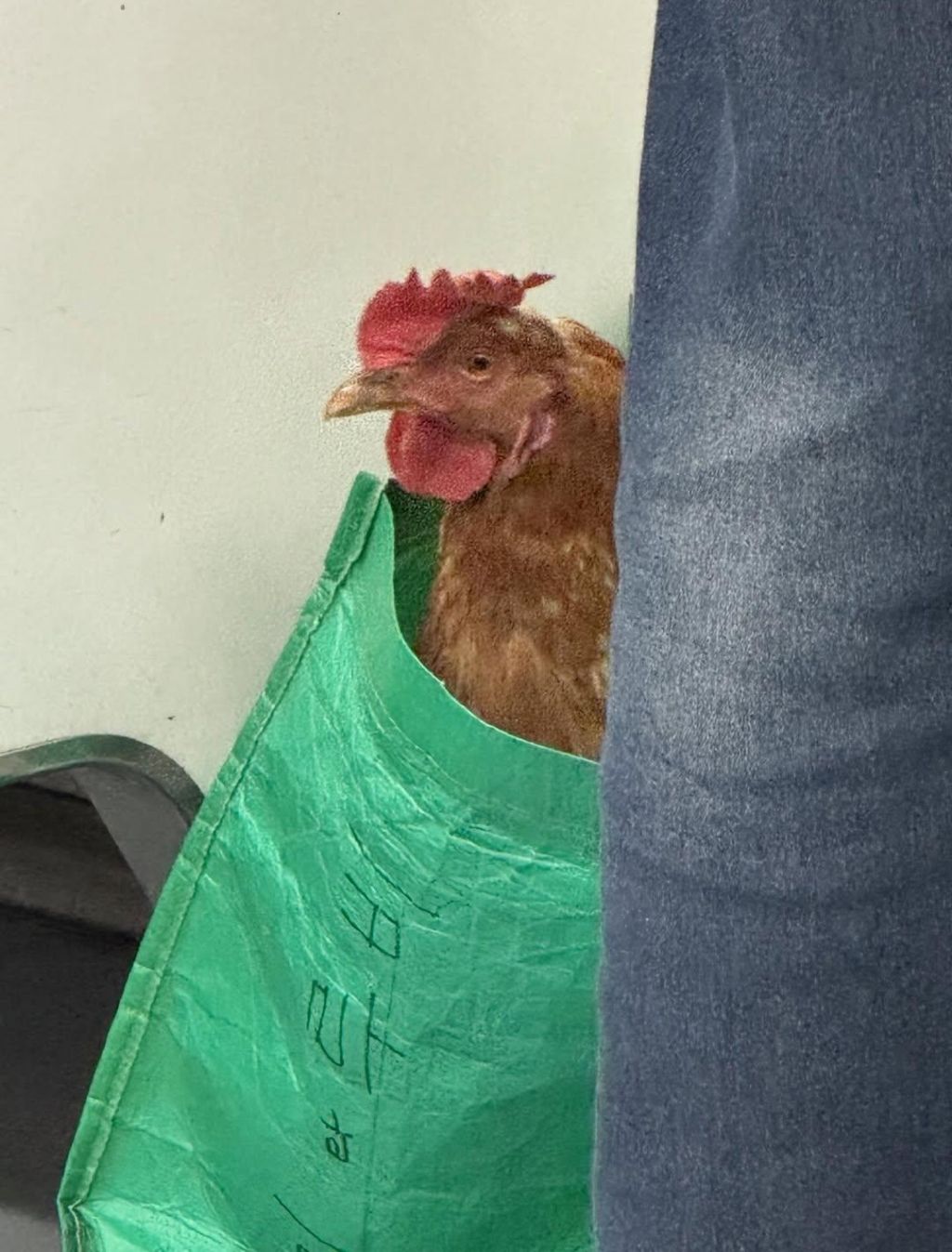 AI-아님..-서울-지하철-빡세다-2-이미지