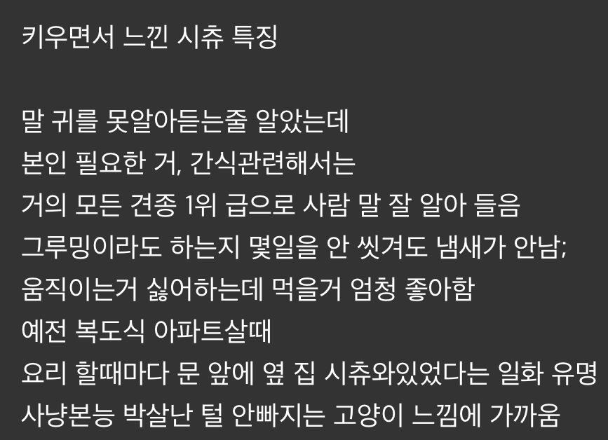 전형적인-반려견처럼-생겼는데-막상-키워-보면-강아지-느낌-잘-안나서-당황한다는-견종-2-이미지