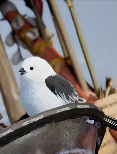 붉은-사막에-나온다는-오목눈이-0-이미지