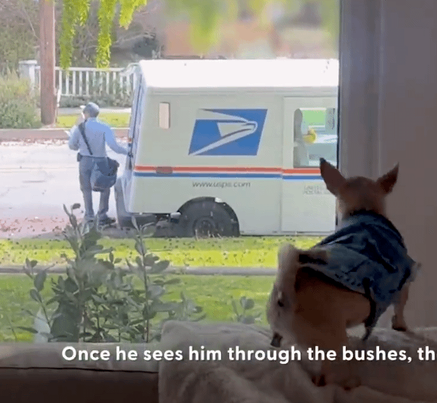 나는-오늘도-쳐들어오는-적군을-처리한다-4-이미지